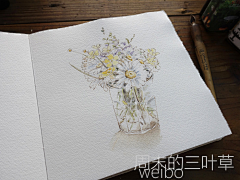 周末的三叶草采集到三叶插画
