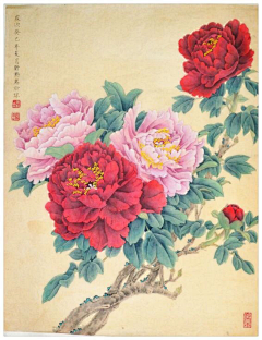 薄荷12345678910采集到花
