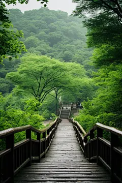 春回大地森林道路图片摄影图