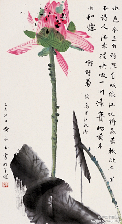 振芳采集到中式元素