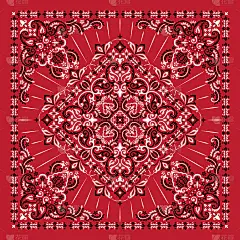 Vector ornament Bandana Print. Traditional ornamen