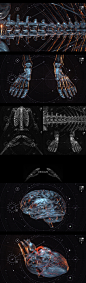 《X2 · 万物一体》人体结构_Freeman曾家明_三维/C4D图片-致设计