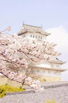 采集图片