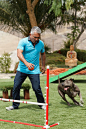 Junior and Dog Whisperer Cesar Millan training on the dog agility course. www.easyturf.com/cesarmillan l artificial turf l pet turf l backyard l outdoor living l synthetic grass l dog whisper l kid friendly l perfect for kids