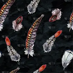 翎毛,波西米亚风,式样,水彩画,华丽的,水彩画颜料,背景分离,纺织品,野生动物,壁纸样本