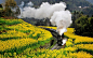 (1030×643)__开往春天的火车  _T2020226 #率叶插件，让花瓣网更好用_http://ly.jiuxihuan.net/?yqr=10167332# _000-未整理