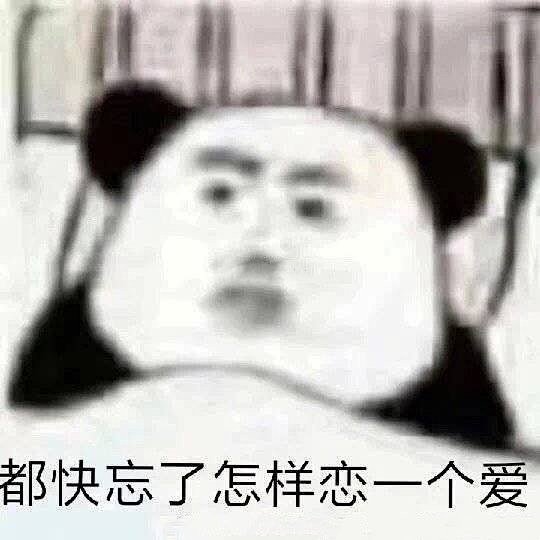 都快忘了怎么恋一个爱了