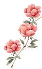 b15db2e781e62fae2414c63764c6cba2ce1781a35f642-usj78r_fw1200