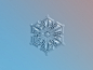 Morning star 雪花、雪晶摄影 by 设计达人（http://www.shejidaren.com） #微距# #摄影#
