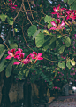 _MG_1792-25