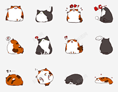 huWyJxCM采集到IP猫