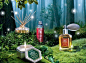 L'OCCITANE_Duefte