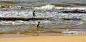 马达加斯加 马纳卡拉海滨
Olivier Schram在500px的海纳卡拉波中演奏 _人文采下来 #率叶插件，让花瓣网更好用#