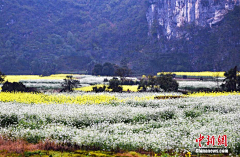 沿着河走采集到风景