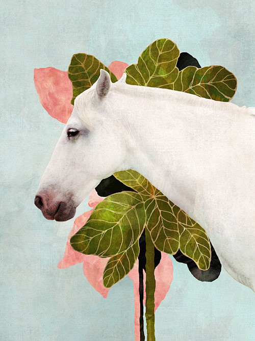 White-Horse-Art-Coza...