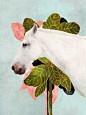 White-Horse-Art-Cozamia