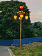 地方文化特色路灯,柿子景观路灯