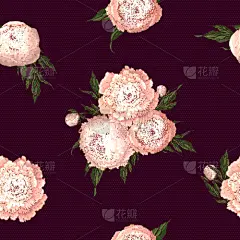 牡丹,粉色,四方连续纹样,轻的,纺织品,多样,壁纸,自然美,春天,花