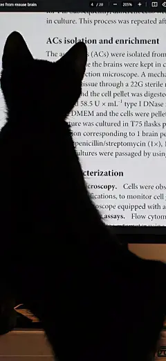 @一百个大不刘   壁纸