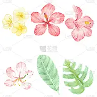 水彩画红色夏季热带花木槿和鸡蛋花元素收集