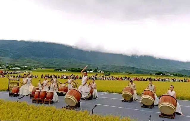在稻田上听音乐，文艺与逼格齐飞，首届稻田...