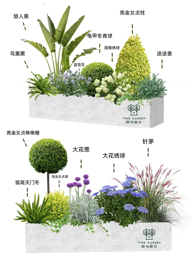 高颜值花箱植物组合|附品种清单|阳台花箱