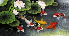 荷花鱼 画_百度图片搜索