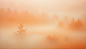 light-dark-clear-plain-autmn-leaves-orange-red-yellow-background-backdrop-texture-paint-color-sunset
