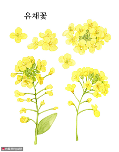 随逝水ˇ采集到蜂业