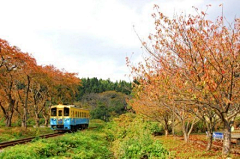 三伍采集到旅游胜地