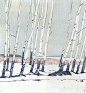 birches on Behance