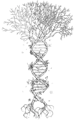 暴富i采集到植物免抠