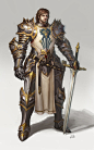 long sword knight