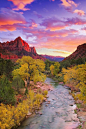 The Virgin river and Watchman mountain, Zion National Park, UT