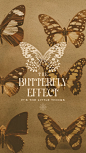 The Butterfly Effect – Butterfly Branding Logo Design