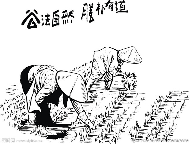 农民播种简笔画 插秧图片