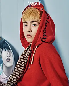 [EXO][分享]170322 新一波壁纸来袭 《Vogue Korea》画报高清大图公开——IDOL新闻