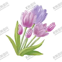 手绘郁金香 【酷图网】手绘花卉,手绘郁金香,花卉素材,花束,郁金香,插画插图,鲜花,手绘花,康乃馨,母亲节,祝福卡,邀请函,节日贺卡,婚庆请帖,婚礼请柬,墙角帖,花卉贴纸,水彩花,花朵,电脑手绘花,数码印花,唯美花,花卉印花素材
