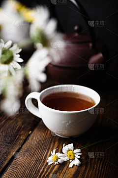 向日葵信息科技采集到励志海报