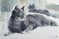 Konstantin Sterkhov的水彩猫咪 ​​​​