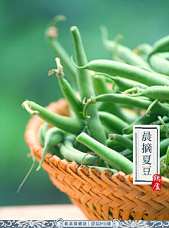 bonjourwa采集到摄影|版式·美学