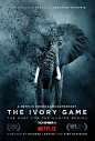Mega Sized Movie Poster Image for The Ivory Game 