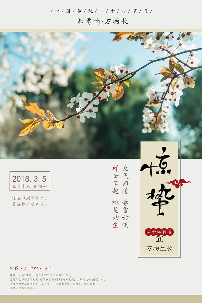二十四节气海报