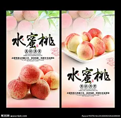 桃子 桃子图片 桃子展板 桃子文化 水蜜桃 桃子批发 摘桃子 批发桃子 桃子海报 桃子基地 桃子挂图 黄桃 寿桃 美味桃子 仙桃 桃子包装 桃子DM 桃子树 桃子园 桃子果园 新鲜桃子 桃子单张 桃子宣传单 桃子画册 桃子产地 桃子介绍 桃子宣传