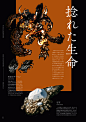 embed0091