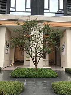 重庆润 ·半山悦景 紫薇