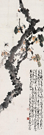 赵少昂