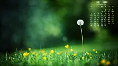 绿色草地蒲公英2021年4月日历桌面壁纸