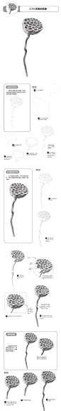 本案例摘自人民邮电出版社出版、爱林文化主编的《铅笔素描三步速成——静物》http://product.dangdang.com/23904027.html