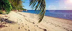 棕榈和热带海滩。度假度假旅游概念背景壁纸。海滩和大海。暑假旅游度假理念。鼓舞人心的热带景观